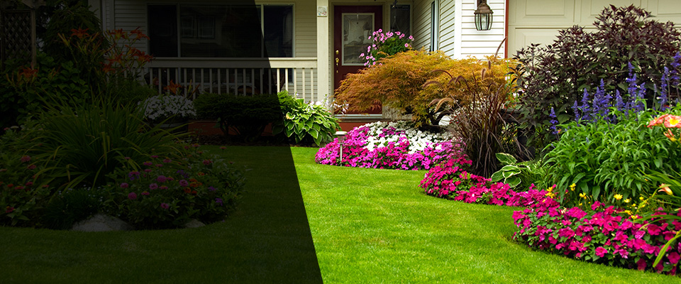 Griffin Landscapers