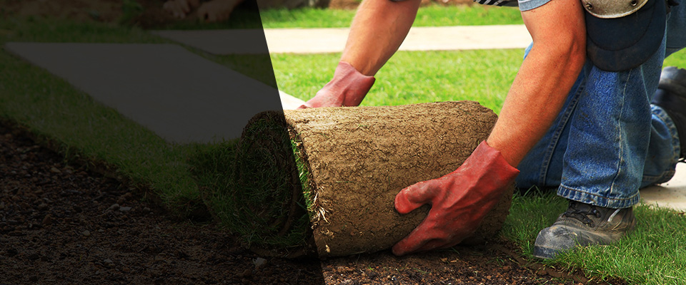 Griffin Landscapers